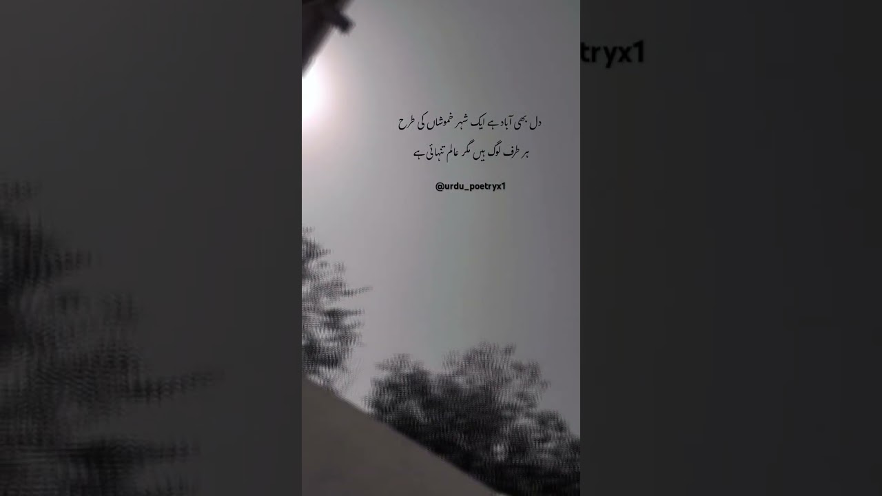 urdu heart touching poetry #poetry #ytshorts #shorts #urdupoetry #shayari #viralvideo #fyp #urdu