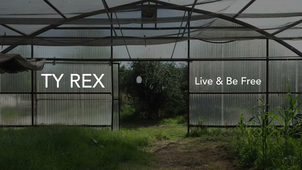 Ty Rex – Live & Be Free | Kinetic Sculpture Meditation