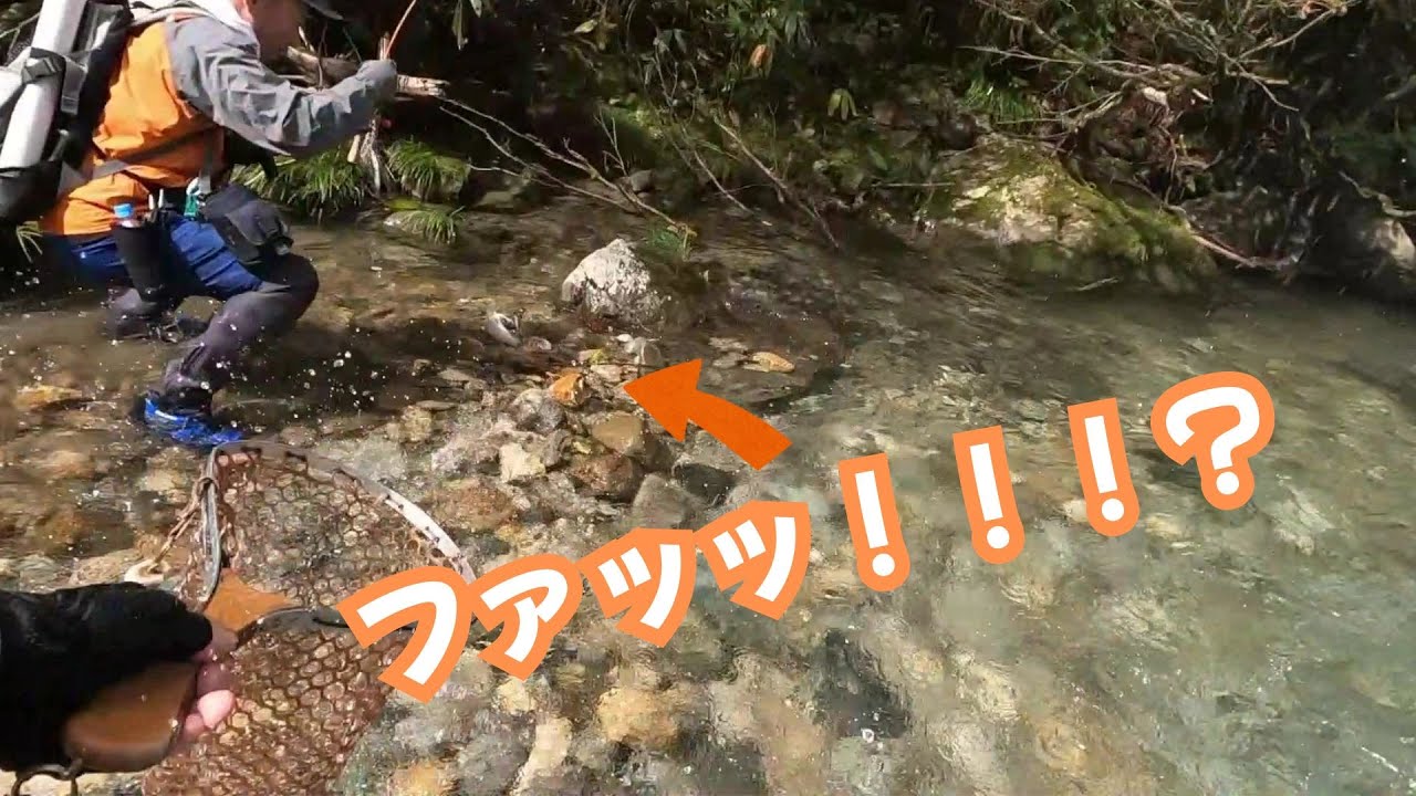 【渓流ルアー】山奥の堰堤に潜むヌシとは、、、