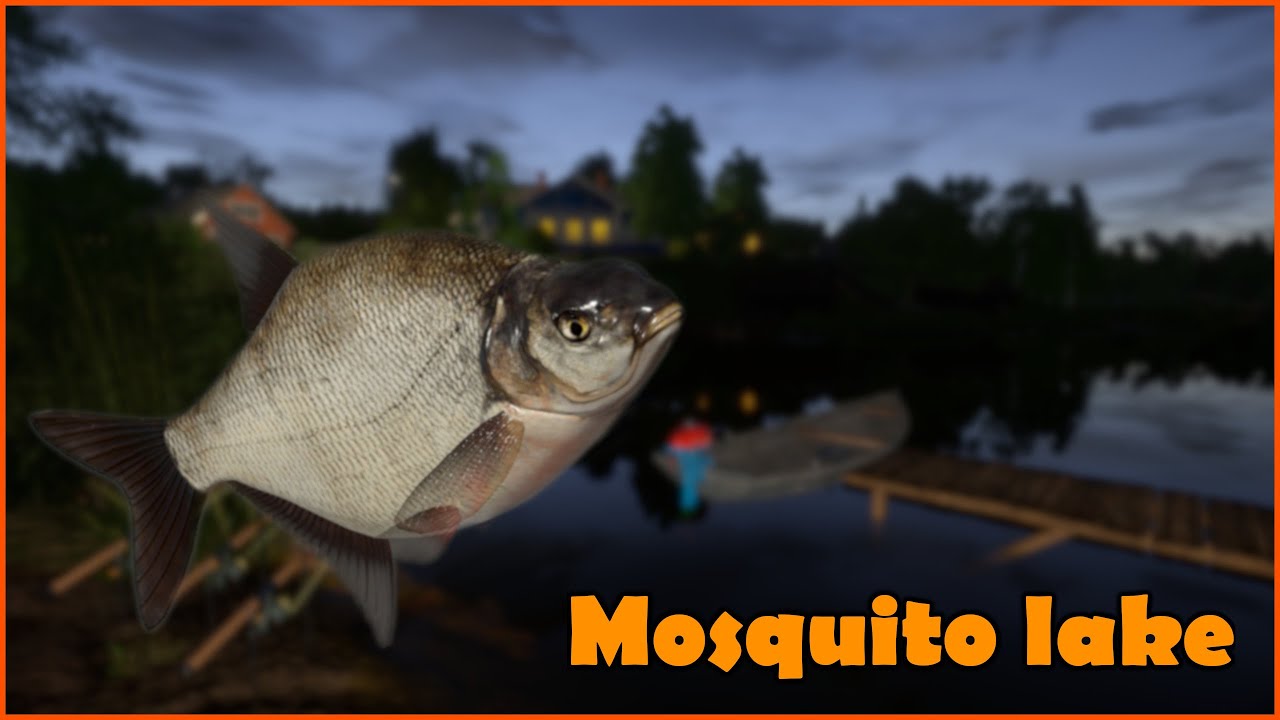Bream Leszcz Mosquito lake - Komarówka |  Russian Fishing 4 RF4 Spot #35 #mjplay
