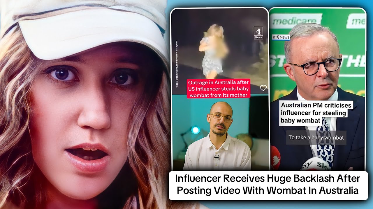 Influencer Faces Huge Backlash After Wombat Video In Australia Goes Viral