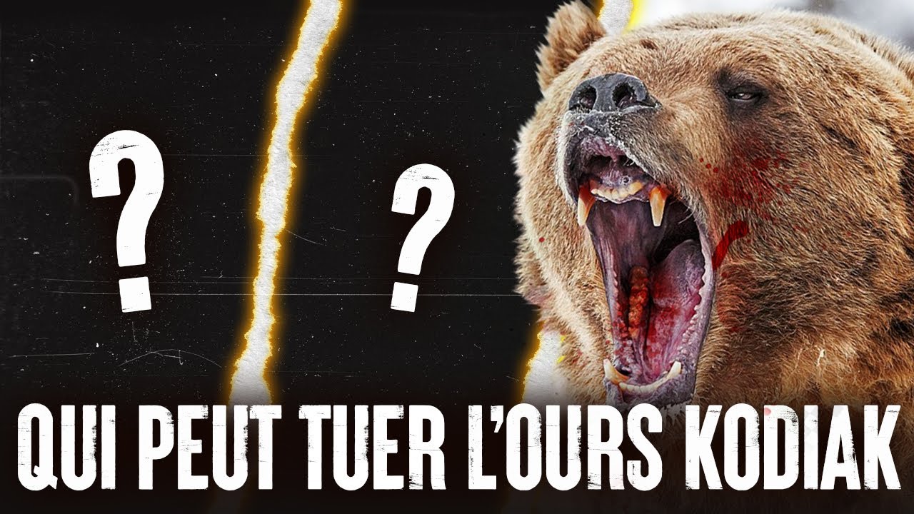 5 ANIMAUX qui pourraient VAINCRE un OURS KODIAK