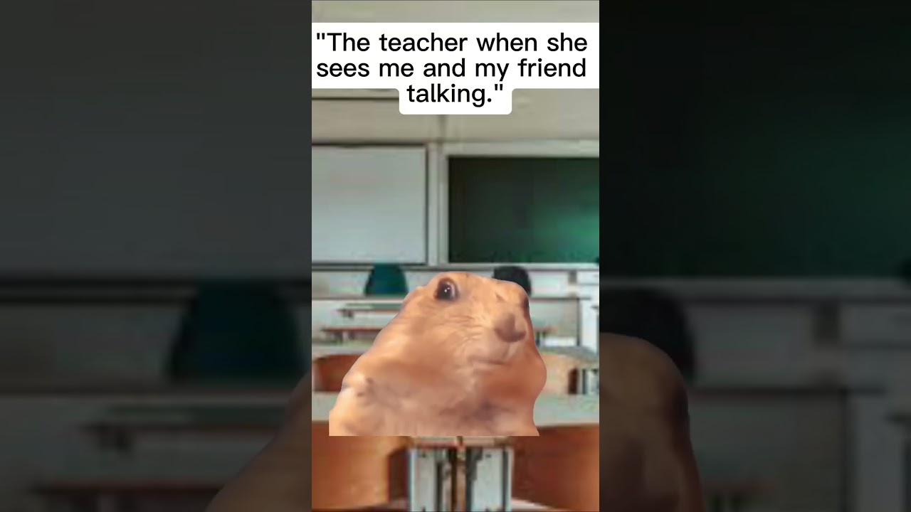 POV hen your teacher see&rsquo;s you talking