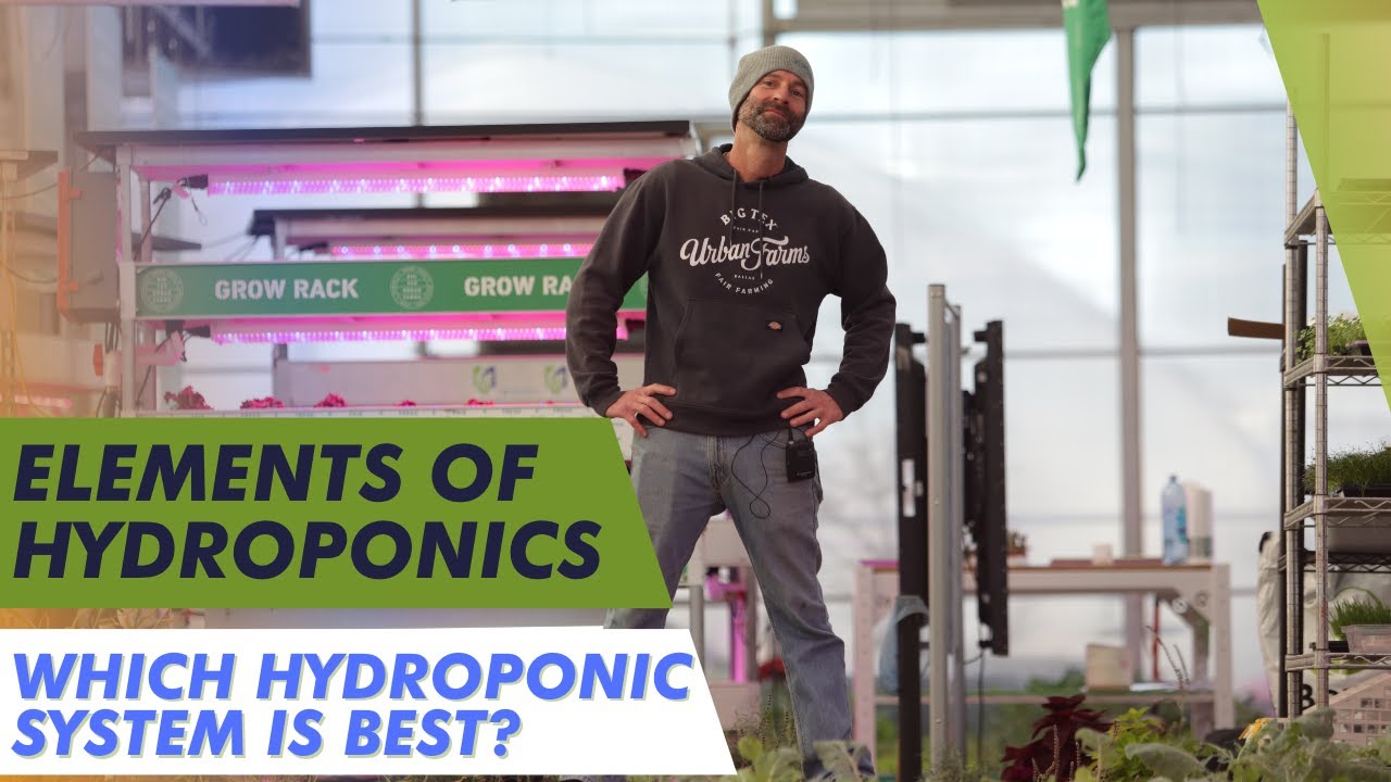 Which Hydroponic System is Best? | How to Choose a Hydroponic System