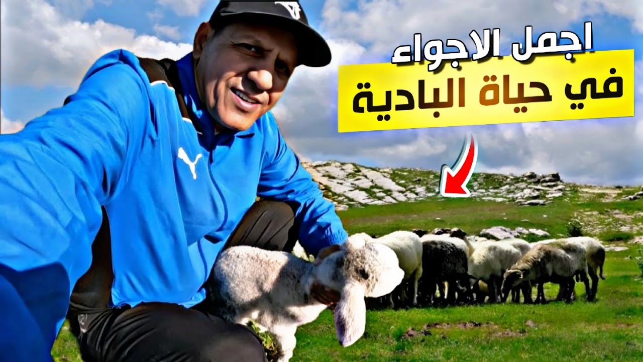 حياة البادية : من بعد الجو العاصفي🌪رحلة الى البادية اجمل الاجواء رائعة  لا توصف و هواء نقي🏞