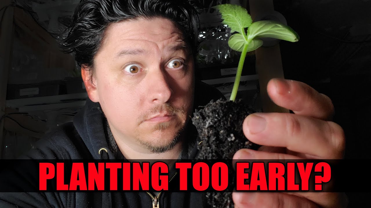 Starting Seeds Too Early - Garden Quickie Episode 46