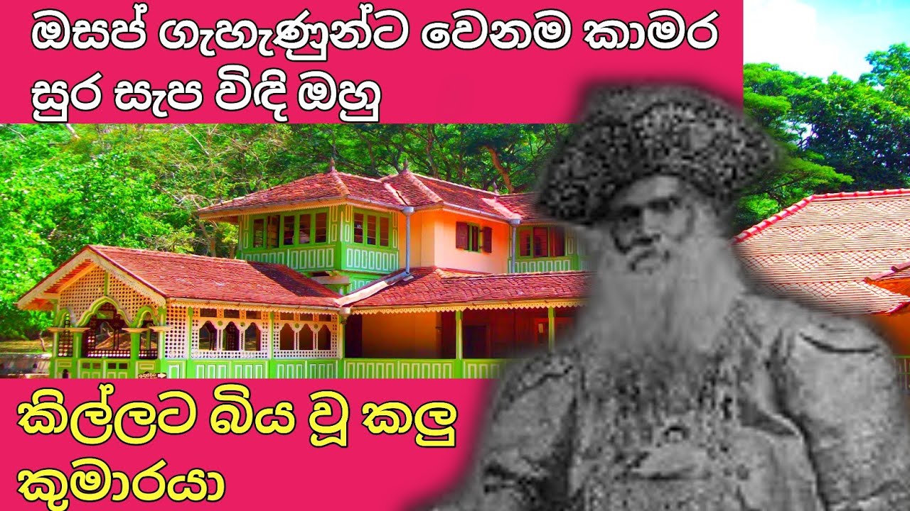 බලය තලය වලව් පැලැන්තියේ අවසානය | The end of a generation | Srilanka | @splocation