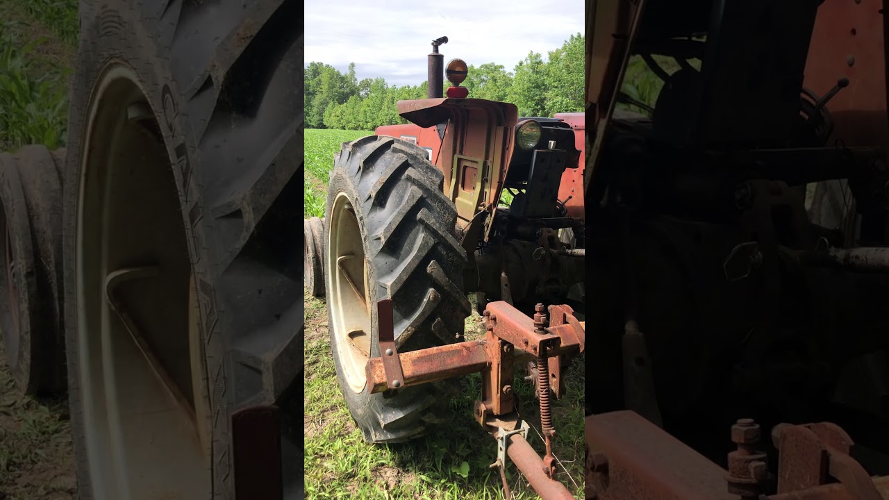 Cultivating corn