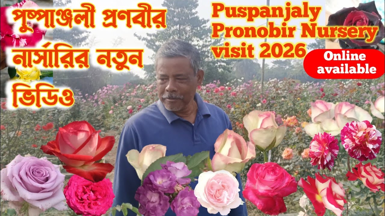 পুষ্পাঞ্জলী প্রণবীর গোলাপের সেরা নার্সারি।। Puspanjaly Pronobir India's Biggest Rose Nursery ।।