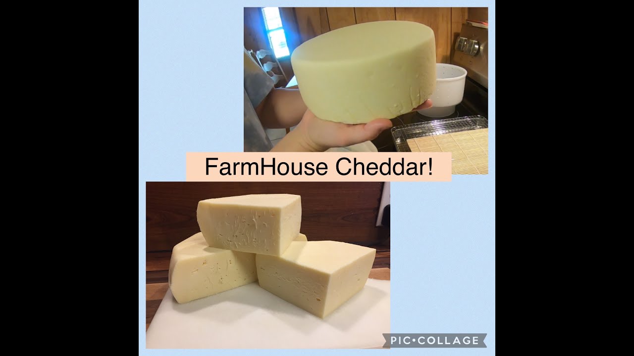 Making Raw Milk Farmhouse Cheddar Cheese! || Homestead Seed
