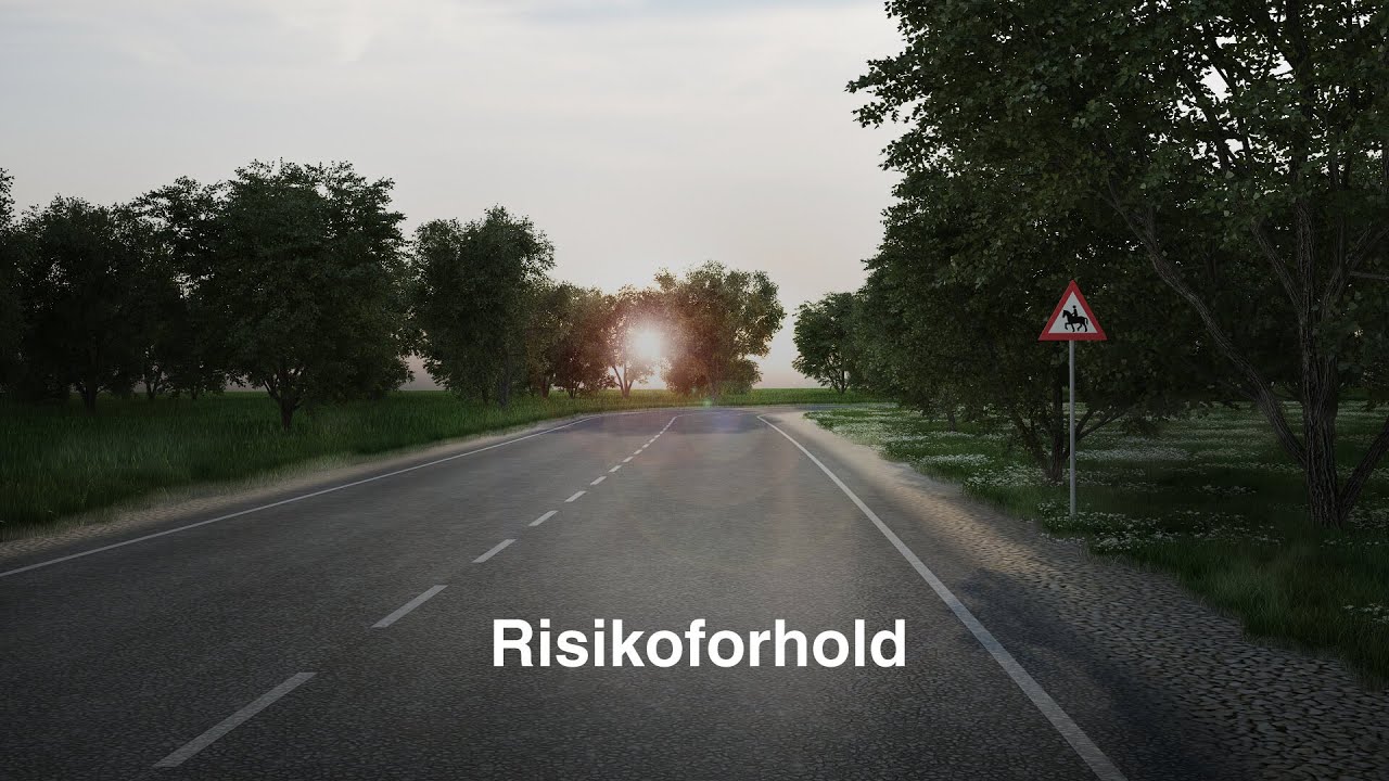 Risikoforhold teoriprøve - Generhvervelse af kørekort (TRAFIKTESTEN.DK)