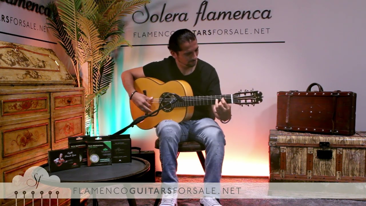 Pedro Maldonado 1999 1&ordf; E. n&ordm;01495 flamenco guitar for sale played by Jos&eacute; Andr&eacute;s Cort&eacute;s