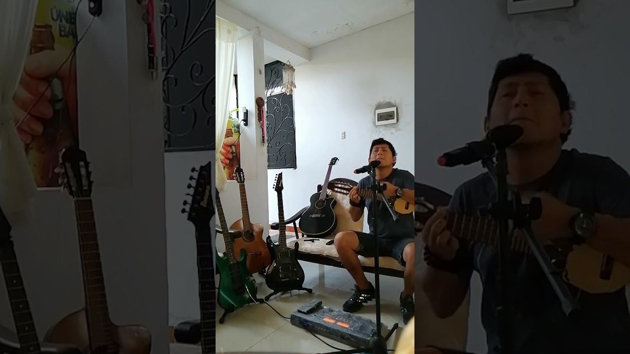 Tren al sur (cover) Beto Gamboa junto a Gregori mi Charango en Chanchamayo Perú 👍🎸❤️😎💪