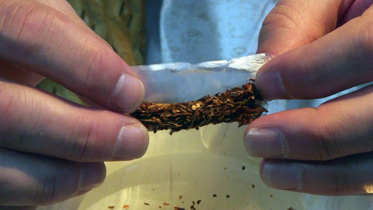 Emergency Rolling Paper Marijuana Tips & Tricks with Bogart #21