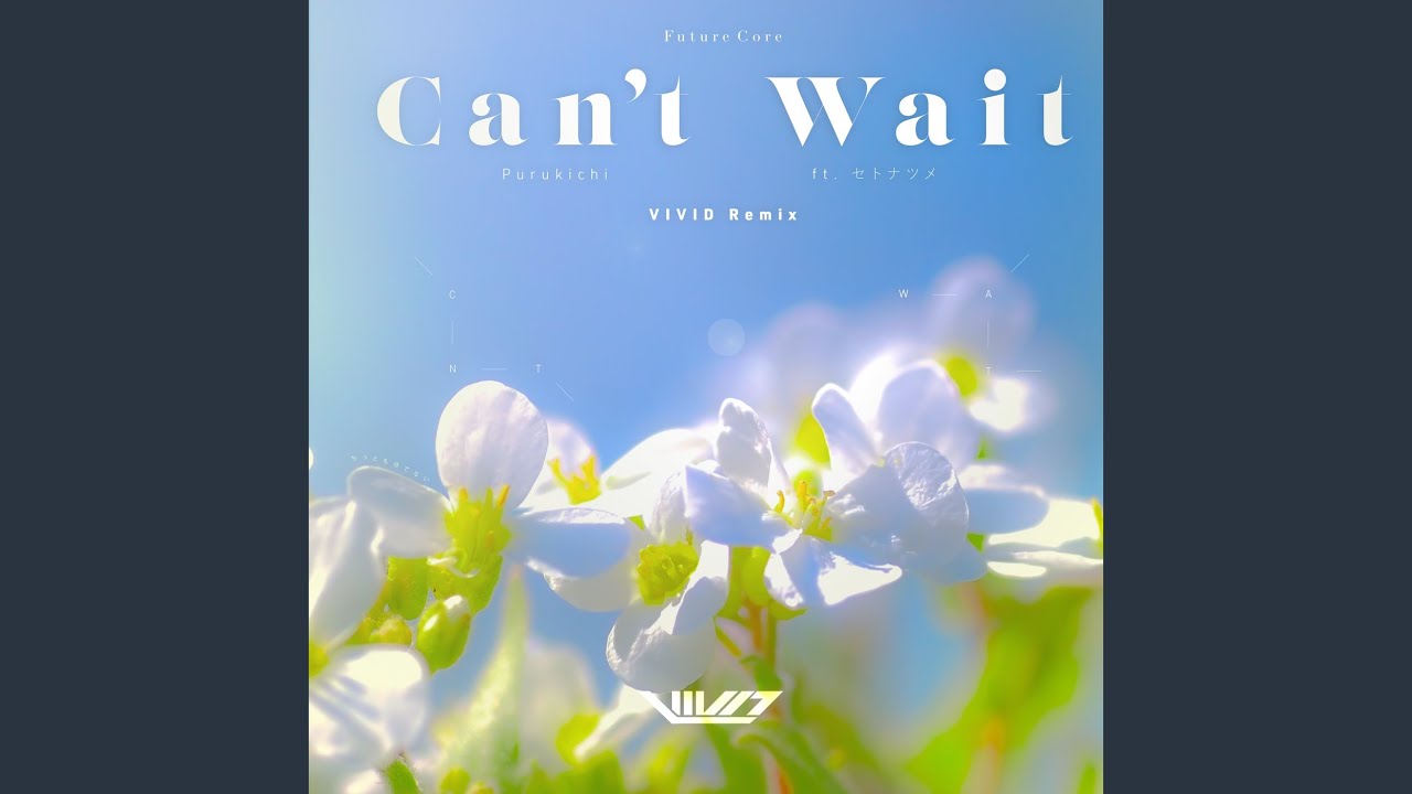 Can't wait (VIVID Remix)