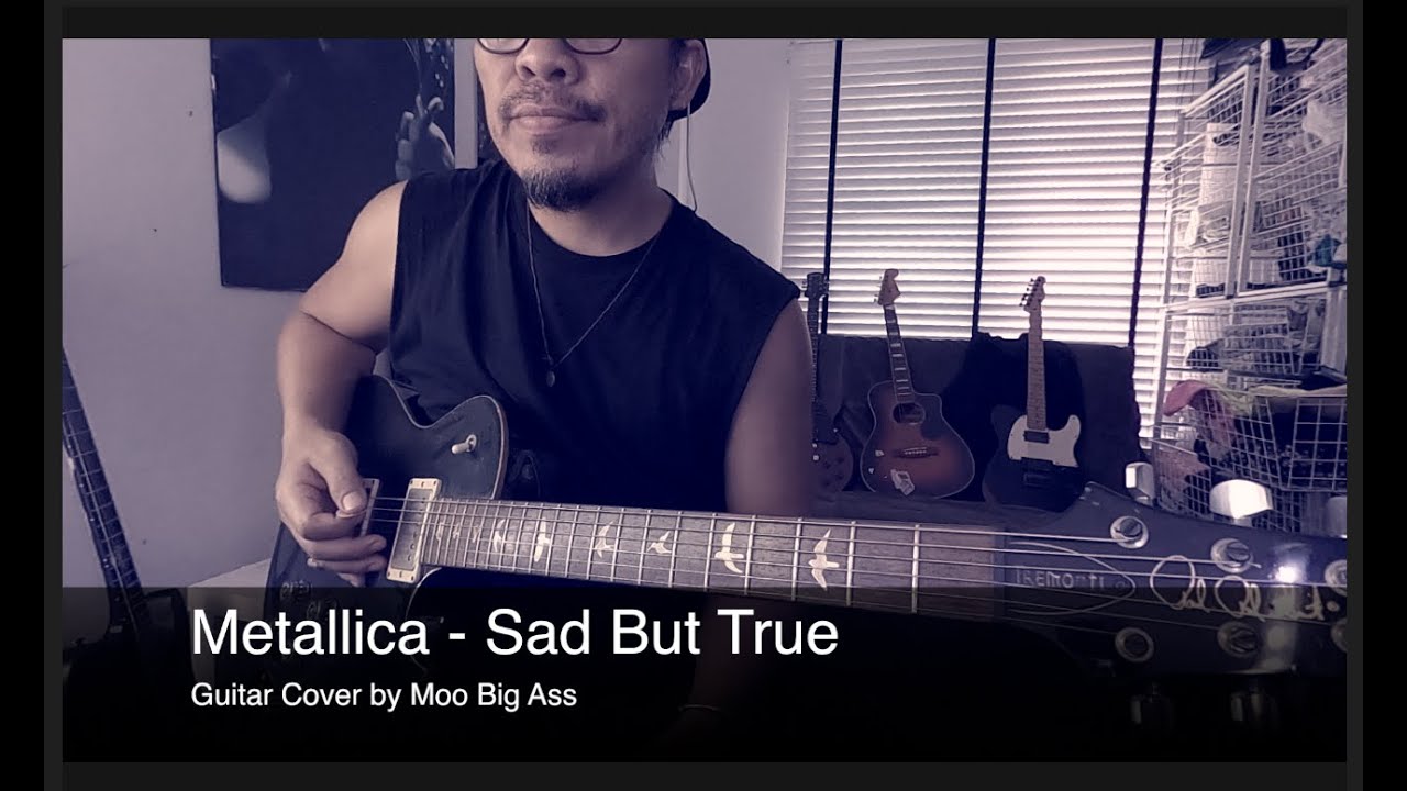 SAD BUT TRUE - METALLICA (Guitar Cover by Moo Big Ass)
