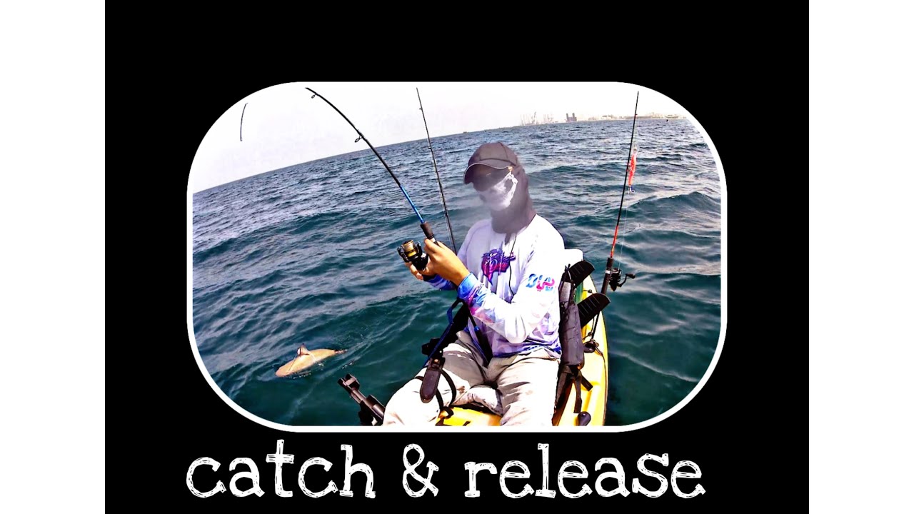 KAYAK FISHING I CATCH & RELEASE / CATFISH / ZOUZ MADI