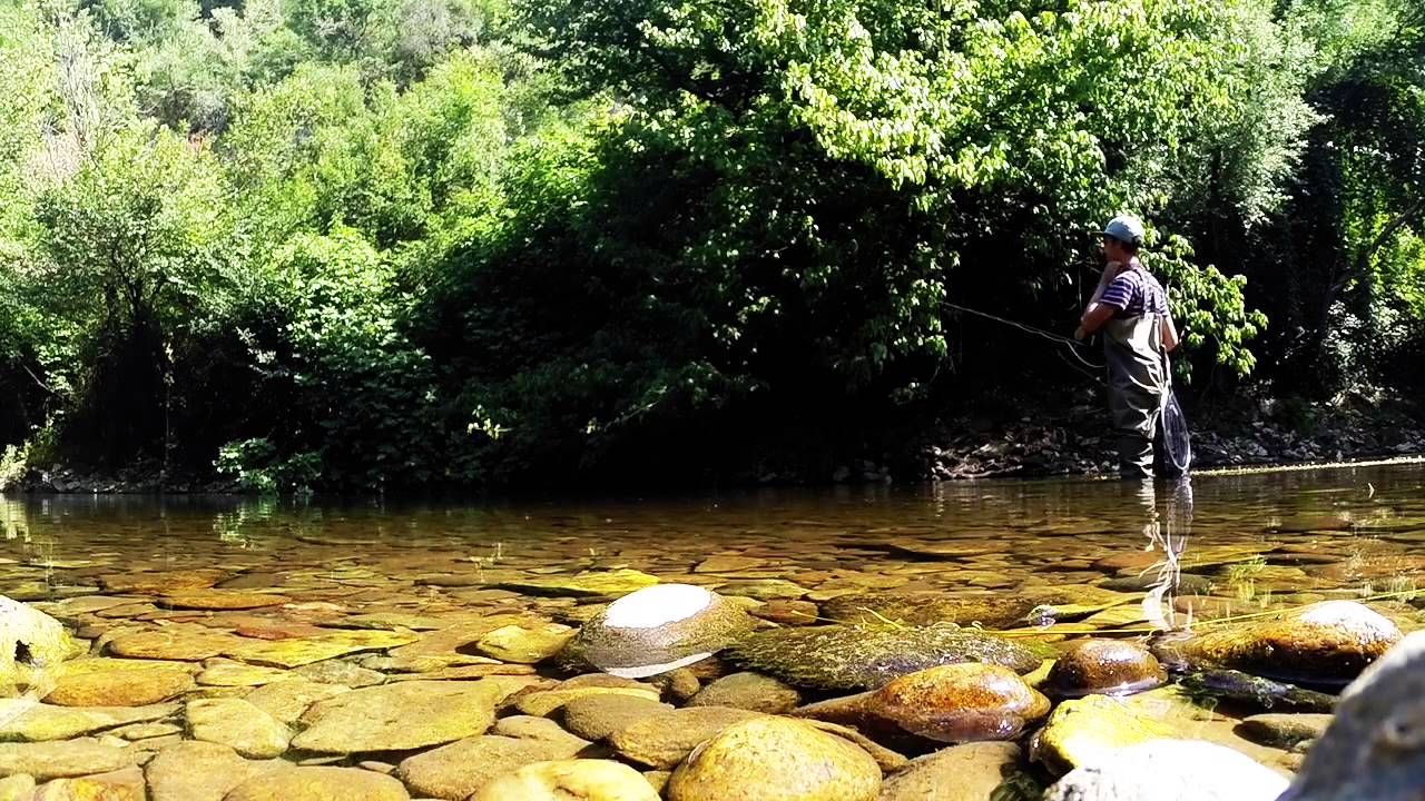 Pêche à la mouche en Dordogne (2015) ... Gros Chevesnes + Barbeaux !