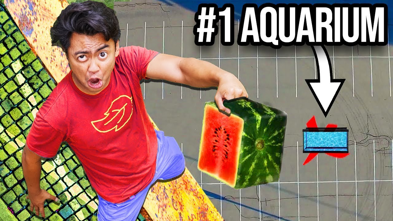 Dropping Watermelons VS Aquarium From 500cm ~ Splash