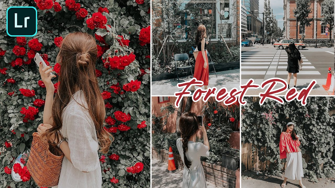 How to Edit Forest Red Presets |  Lightroom Mobile Presets Tutorial Free DNG XMP Editing Tutorial