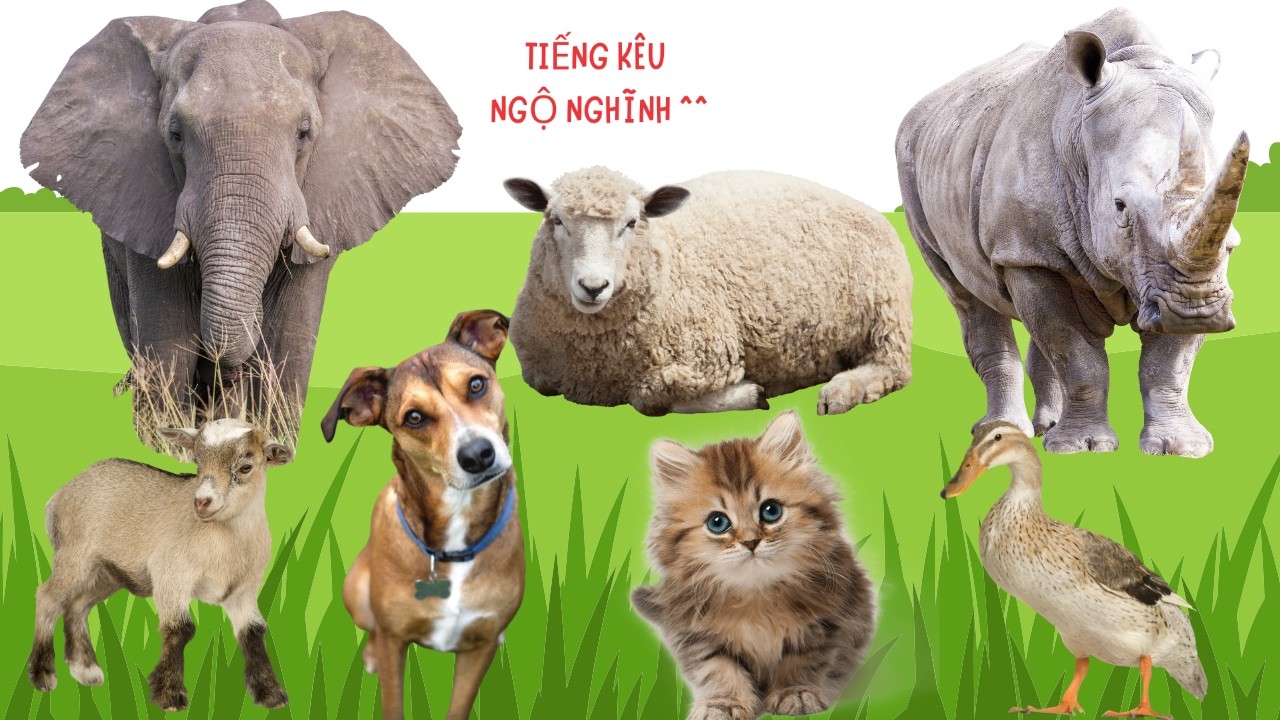 🌿 Đồng Quê 