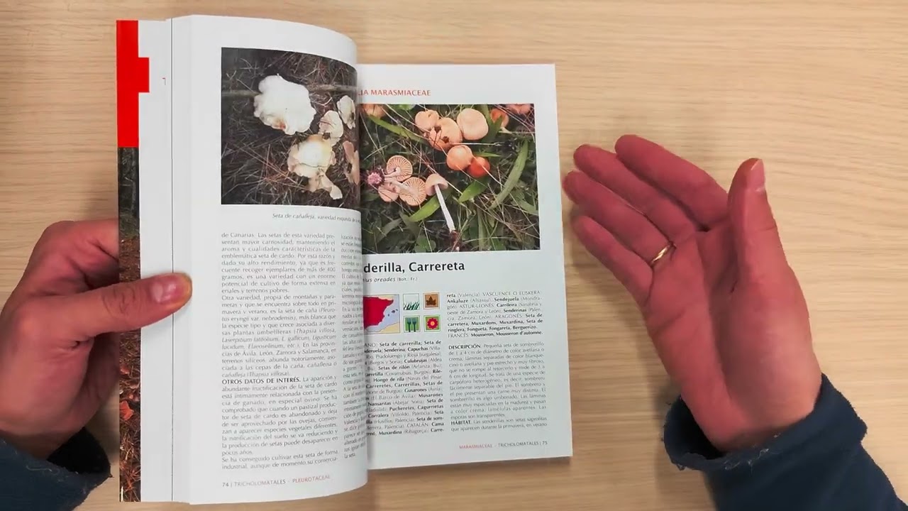 Hongos y setas tesoro de nuestros montes: sin duda, el mejor libro sobre ecolog&iacute;a de hongos.
