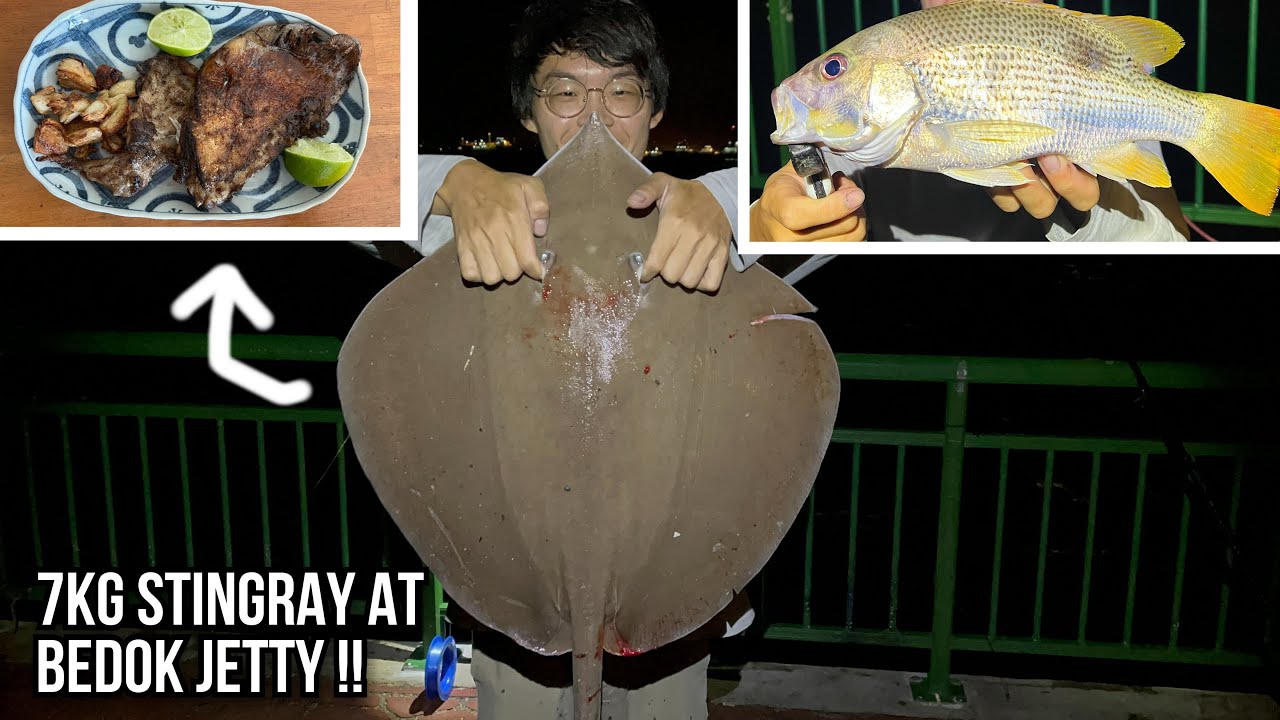 8 KG STINGRAY and Snapper!! Butter fried Stingray | Bedok Jetty Fishing