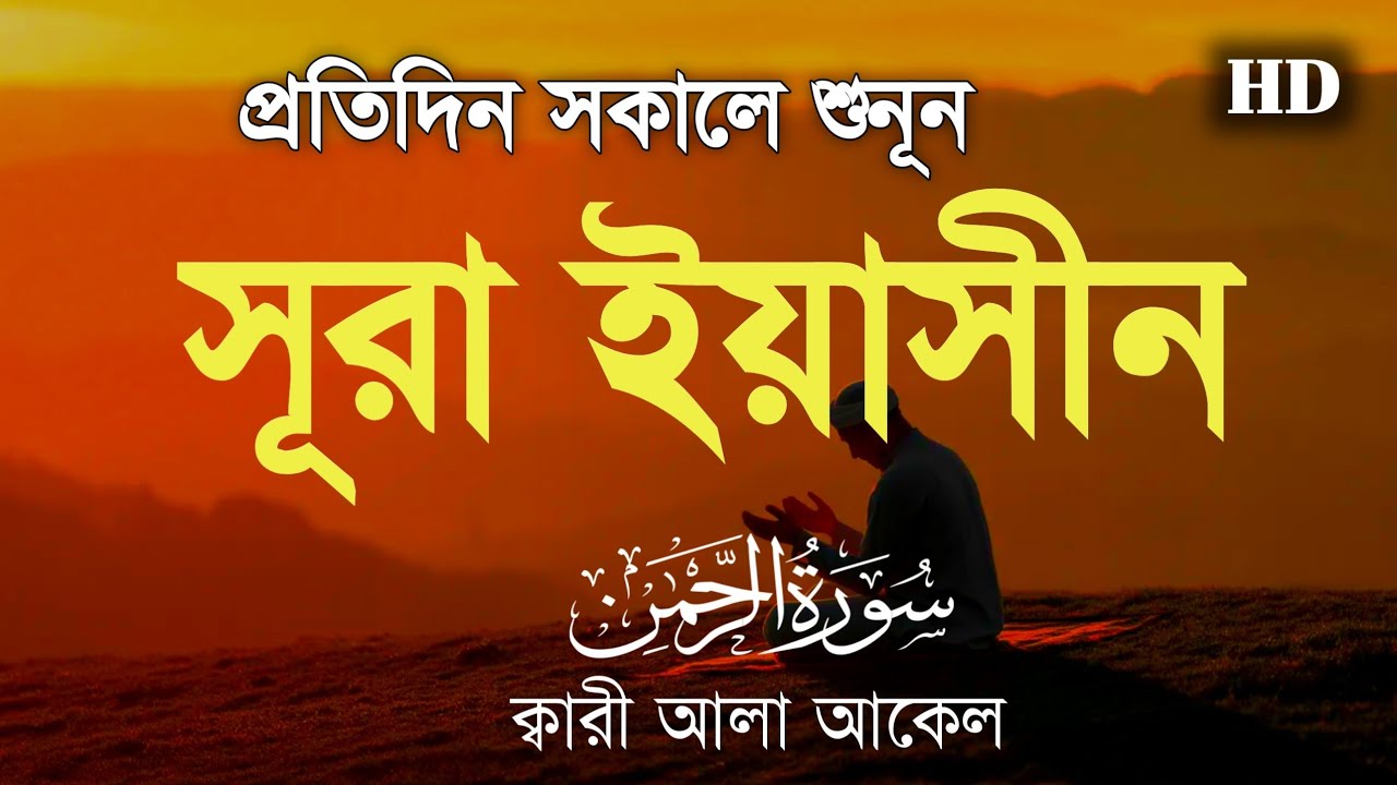 (প্রতিদিন সকালে শুনুন) আবেগময় কন্ঠে সূরা ইয়াসীন | Surah Yasin (سورة يس) By Alaa Aqel 
