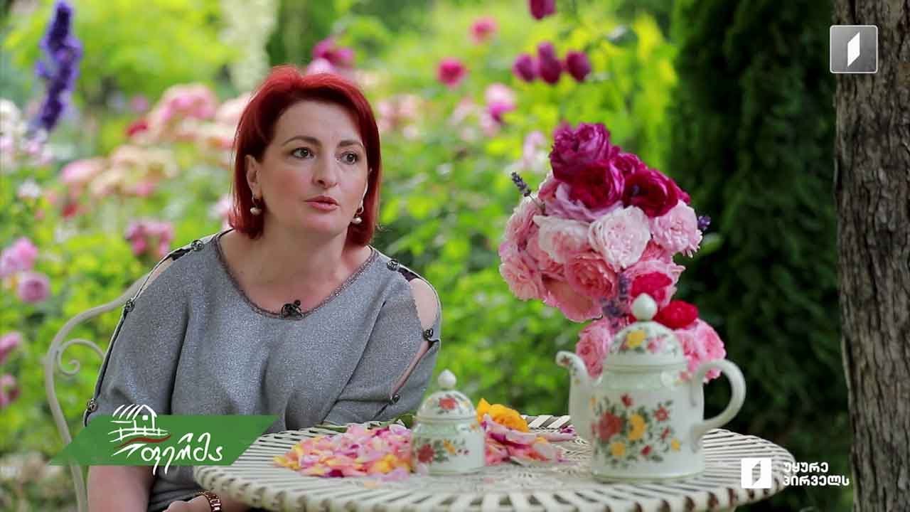 როგორი მოვლა სჭირდება ვარდს - რჩევები ლელა კაჭარავასგან, რომელმაც 300 სახეობის ვარდი გაახარა