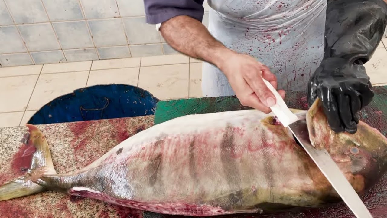Precision Techniques: Amazing Trevally Fish Cutting Skills 🔪 Fast Fish Cutting Silky knife 