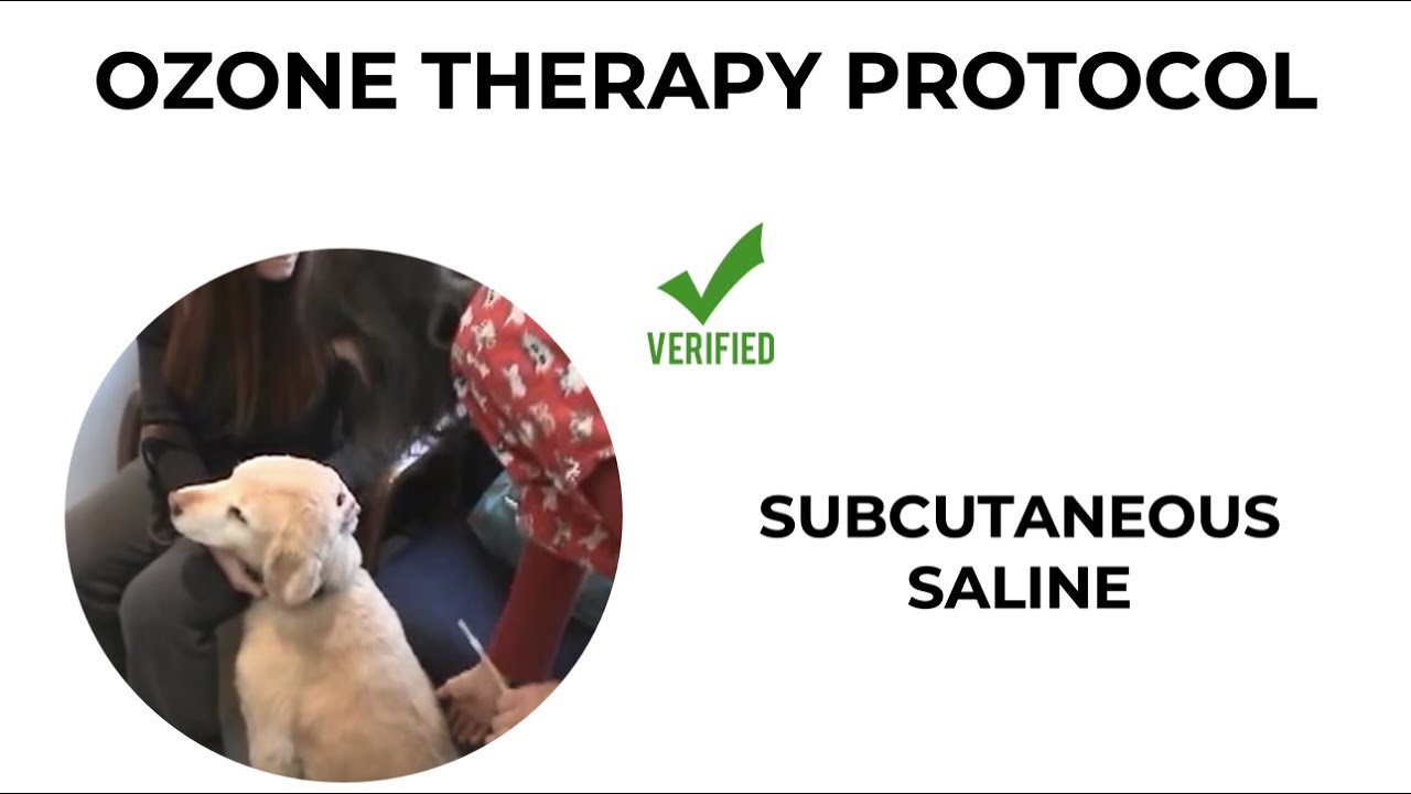 How to inject ozone saline into a dog