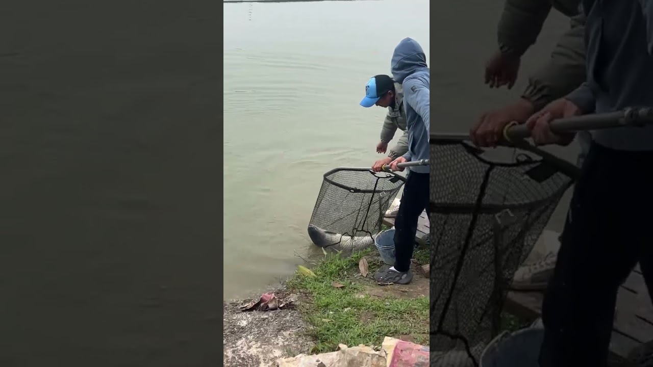 Survival Skills Unique Fishing Skills 1606