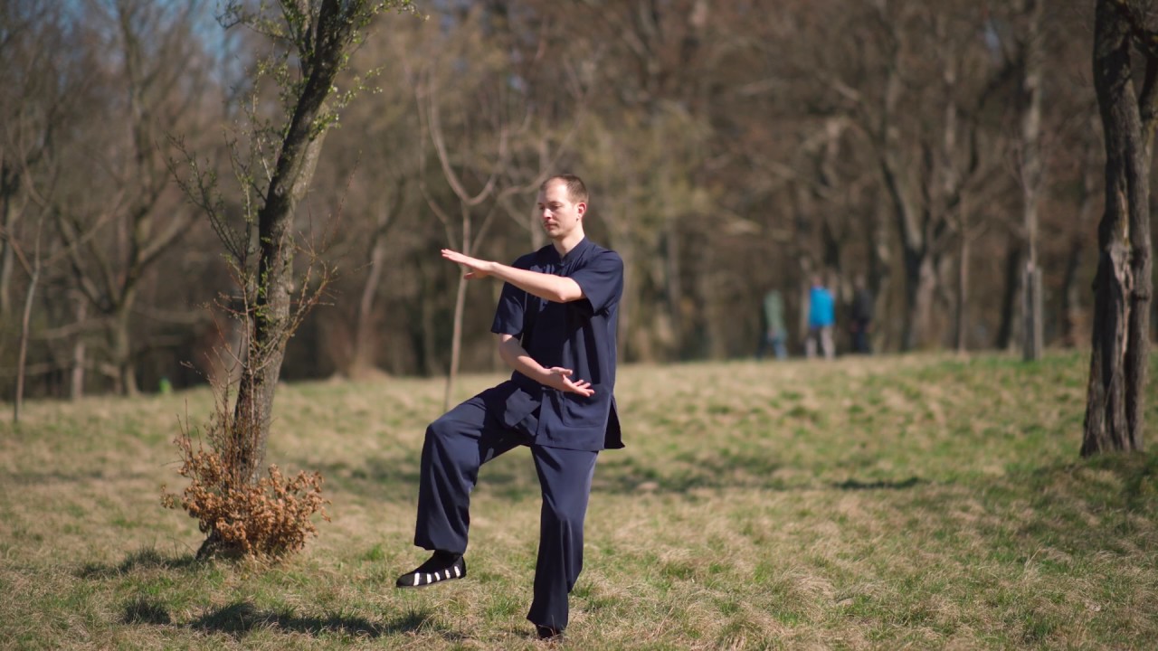 Dragon Qi Gong for your Immune System - Best Form Against Corona Virus!
