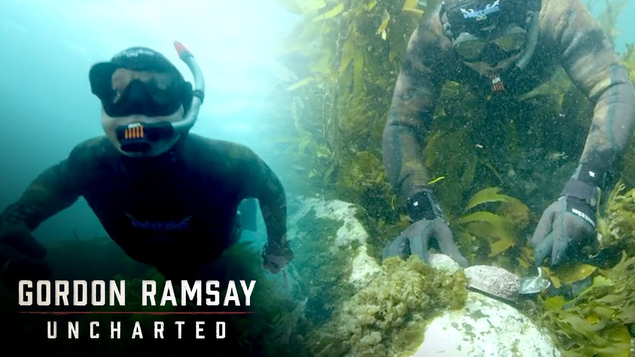 Gordon Goes Diving For Paua | Gordon Ramsay: Uncharted