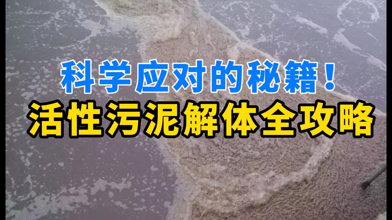 科学应对的秘籍！活性污泥解体全攻略