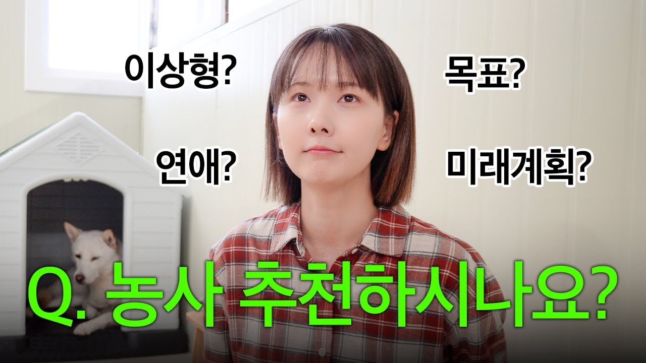 10만 구독자 기념 Q&A