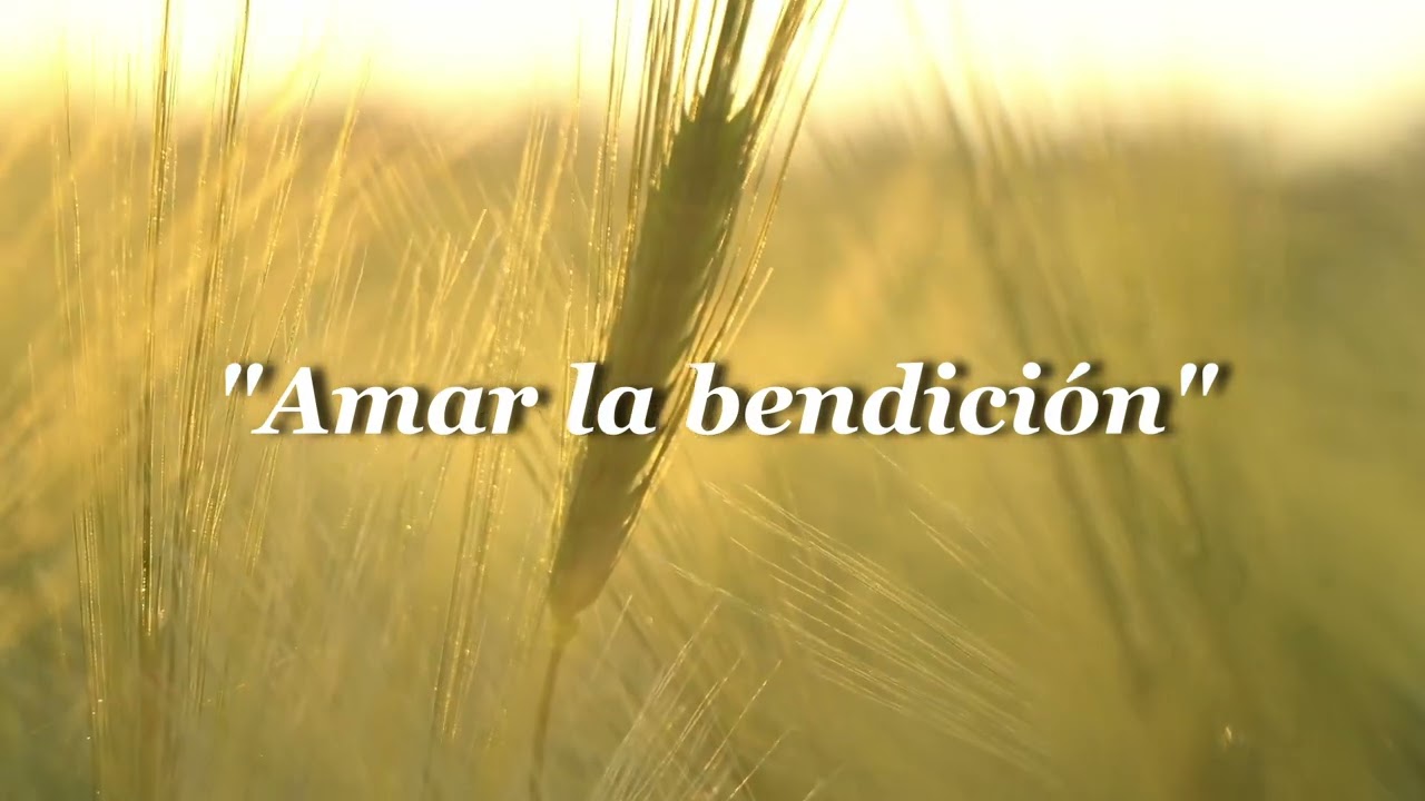 Amar la bendición - autora: M.C.D