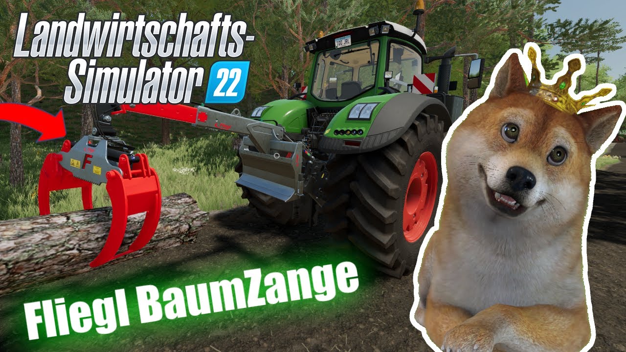 LS22 Neuer Mod im LS22 Forst Server?! | Fliegl Long Neck Combi Plus