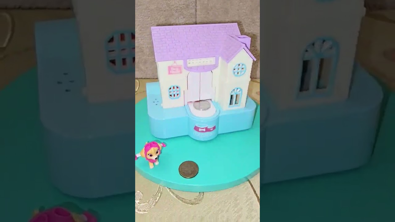 Doghouse piggybank #shorts
