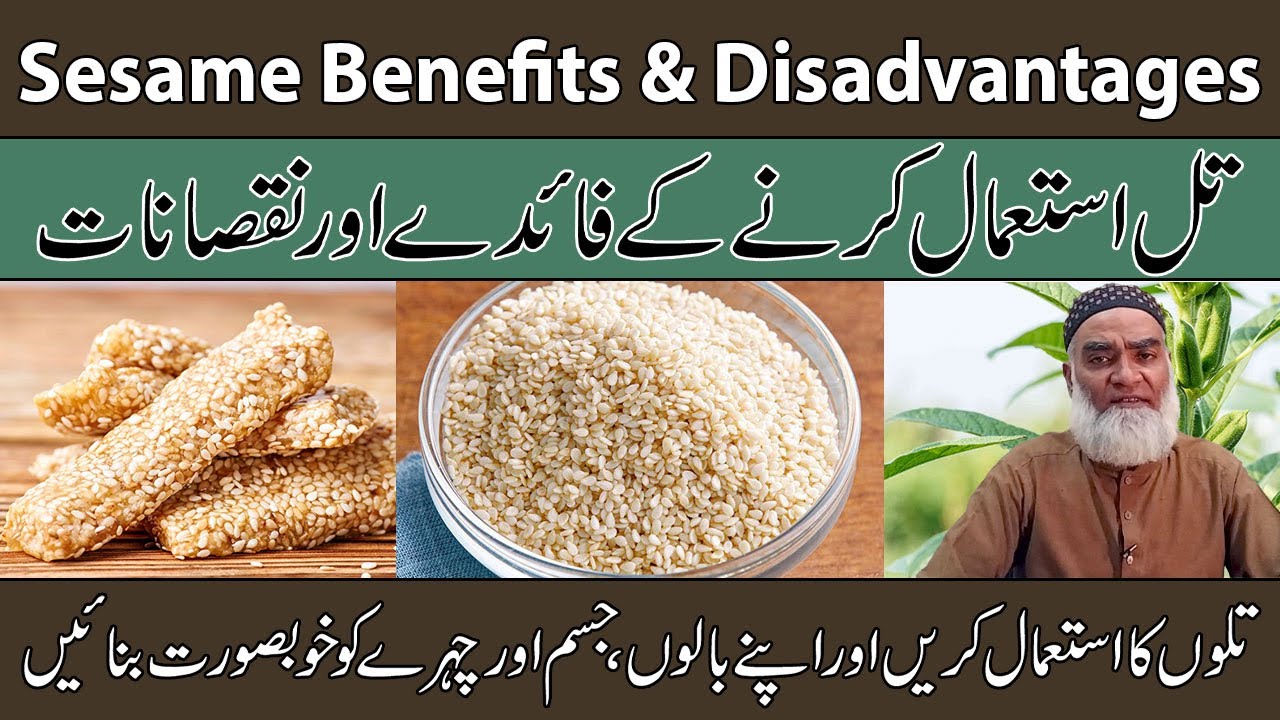Benefits & Disadvantages Of Sesame Urdu/Hindi | Til Ke Fayde Aur Nuksan | Al-Razaqi Health Recover