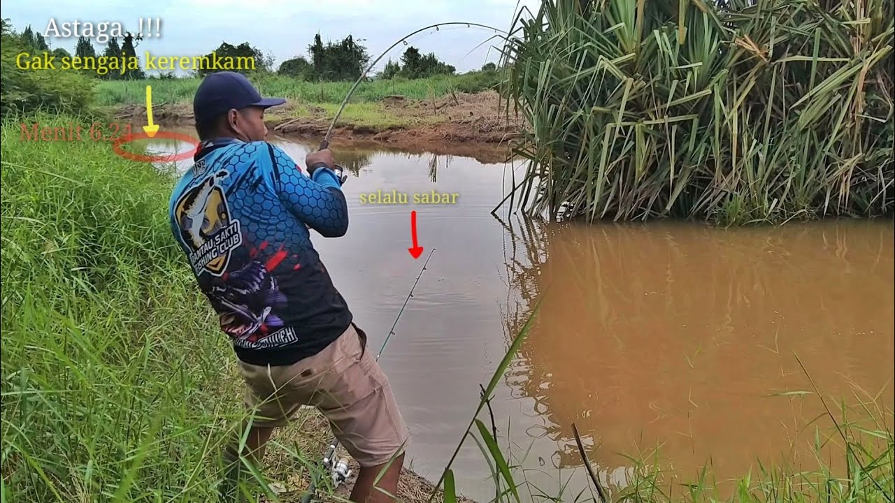 GAK SENGAJA..!!! Lagi strike mama Toman ada yang mengintai  || bersama PUTRA TAMBUSAI