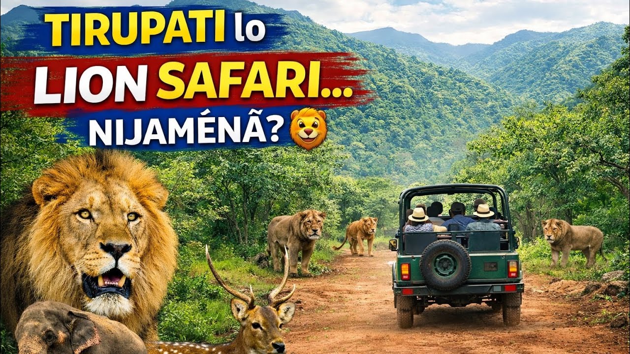 Tirupati SV Zoo Park Experience | Calm, Green & Beautiful