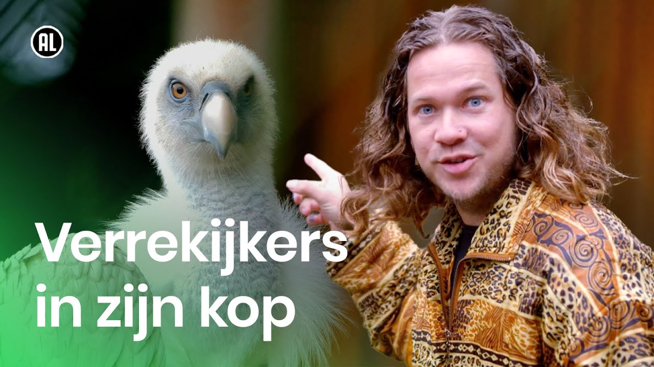 Hoe kijkt een vale gier? | Anders kijken