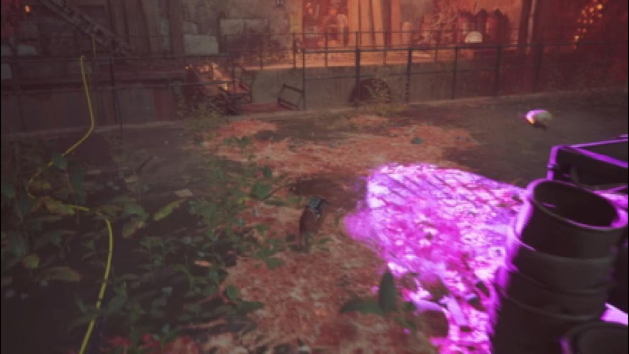 Stray part 4 dead end
