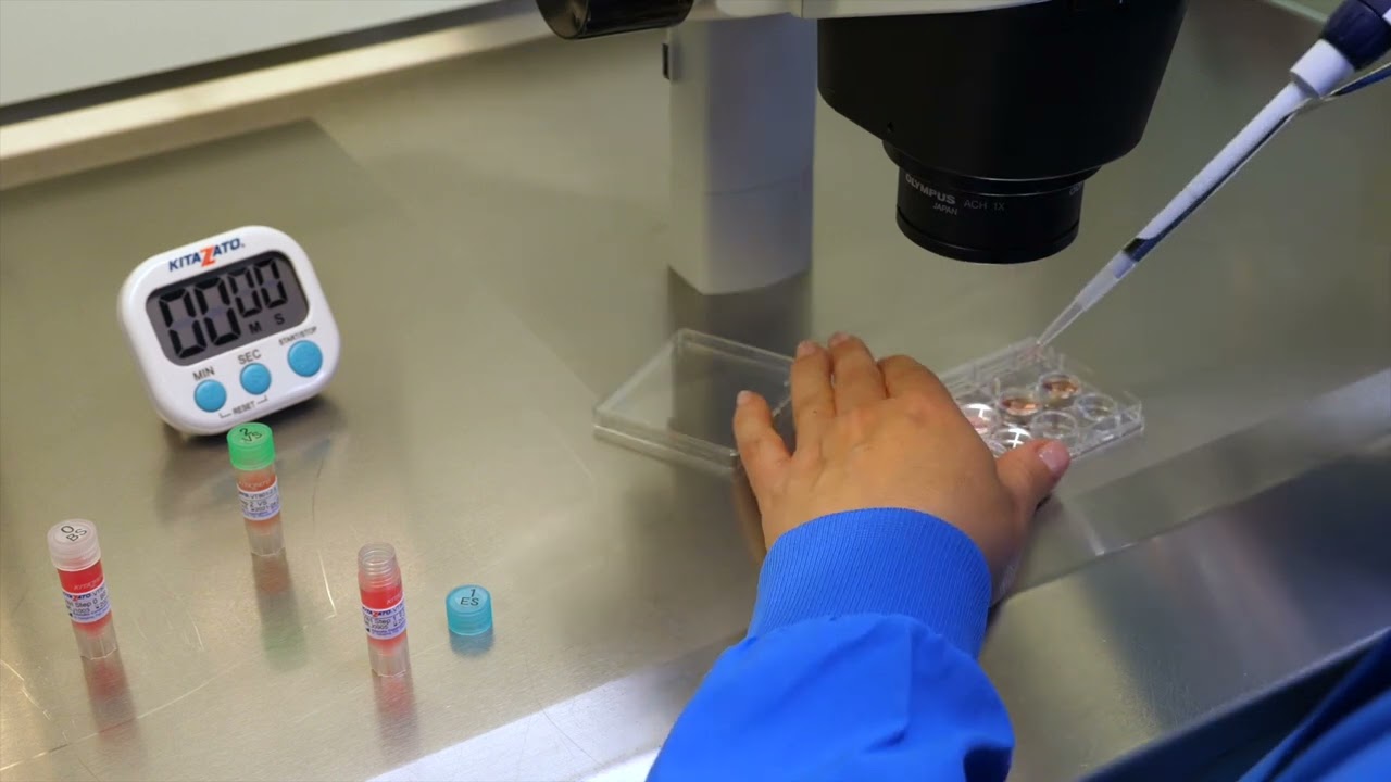 Oocyte Vitrification Open System - The Cryotop Method