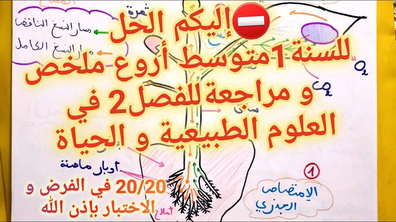 سواء كان فرض،إختبار الفصل2 العلوم الطبيعية و الحياة للسنة1متوسط💥ستكون أعلى علامة لك بهذه المراجعة