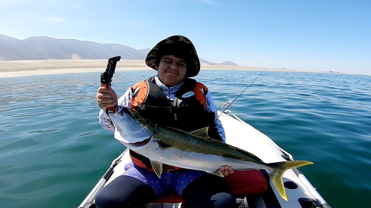 Dorado en modalidad Trolling o Curricam. Lindo ejemplar que se llevo mi Hijo.