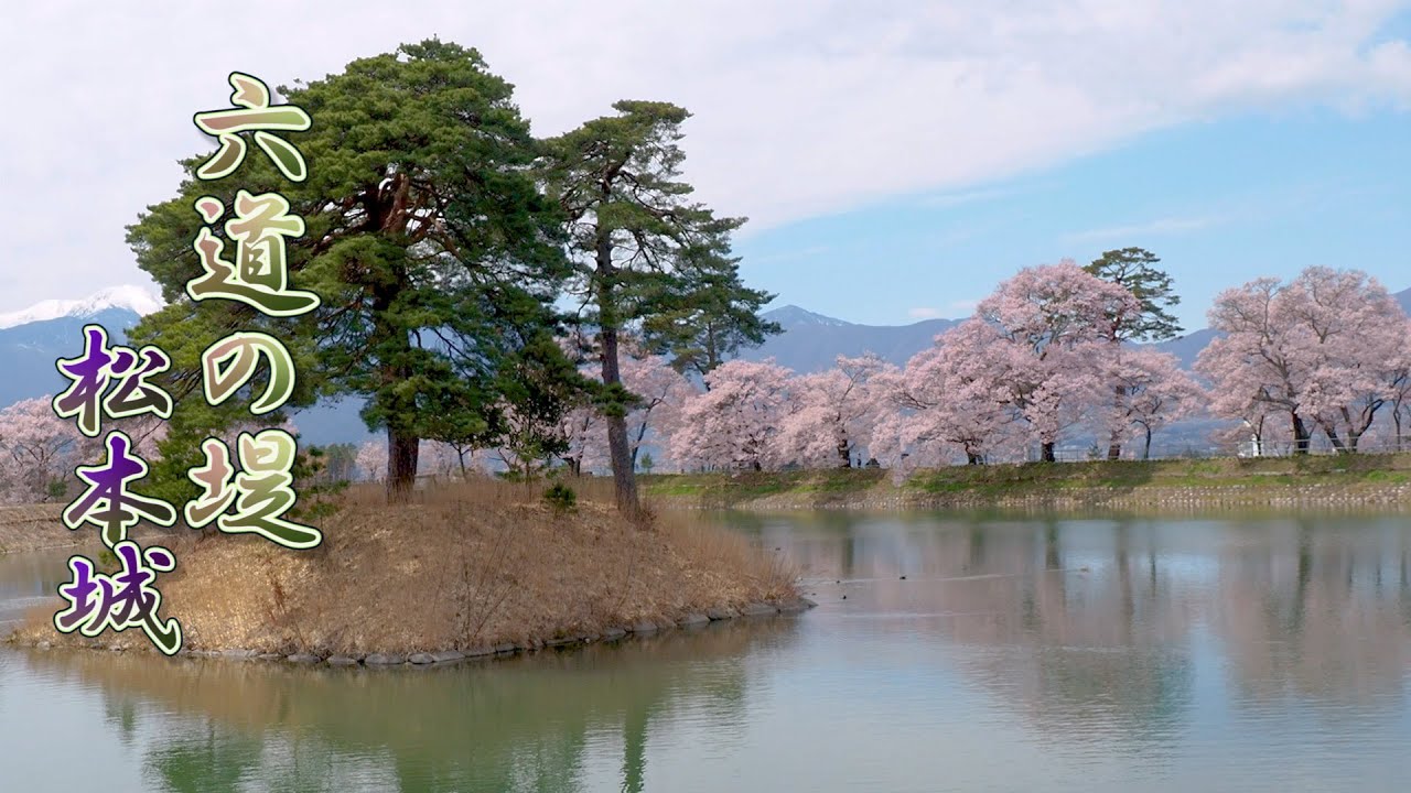 NAGANO【Cherry blossoms】Rokudo-no-Tsutsumi and Matsumoto Castle 2020.#4k