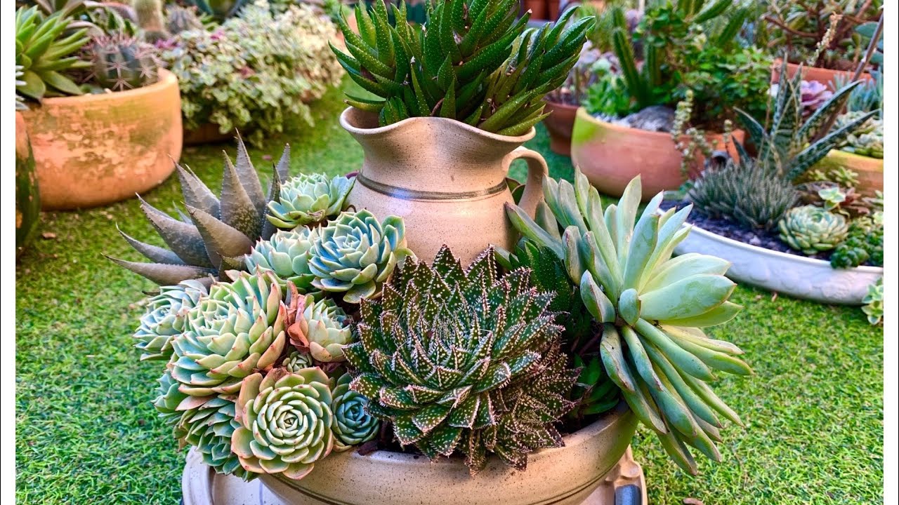 Fruit Bowl Succulent Tower Arrangement