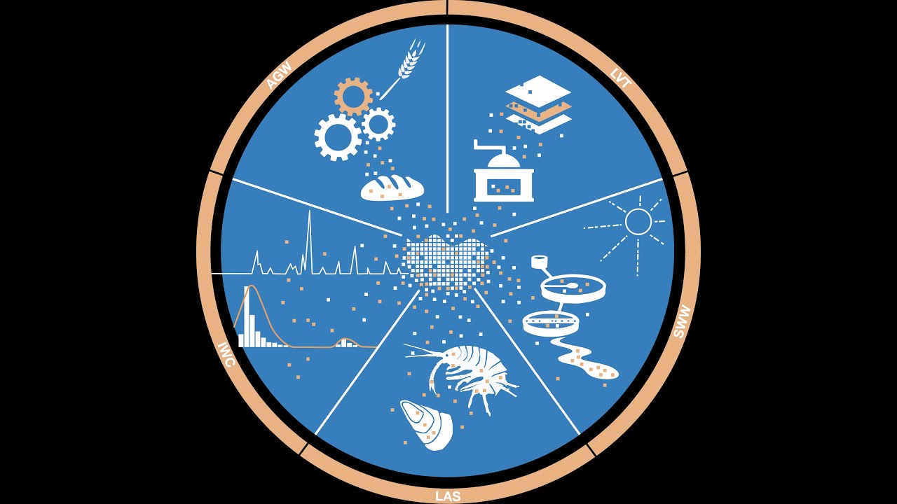 MiPAq (5/5) - Automated Analysis of Microplastic Particles by Raman Microspectroscopy